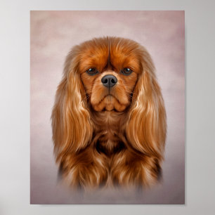 Drawing Dog Cavalier King Charles Spaniel Poster