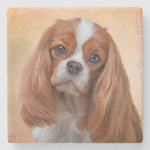 Drawing Dog Cavalier King Charles Spaniel Stone Coaster