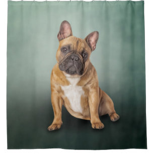 Drawing dog French Bulldog Shower Curtain