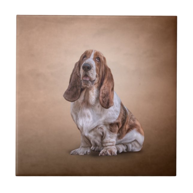 Drawing funny Basset Hound dog Ceramic Tile (Front)