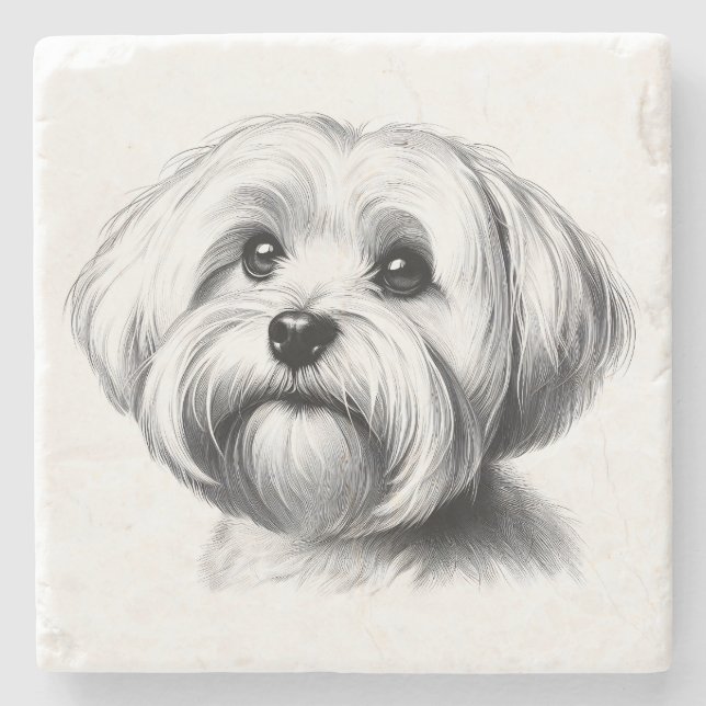 Drawing Maltese Dog Stone Coaster (Front)