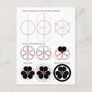 Drawing method of Wood sorrel Postcard