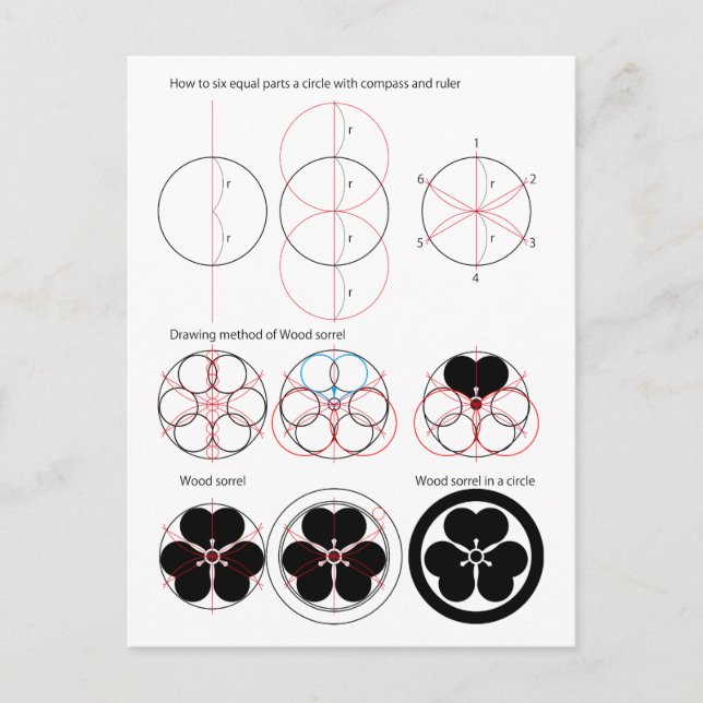 Drawing method of Wood sorrel Postcard (Front)
