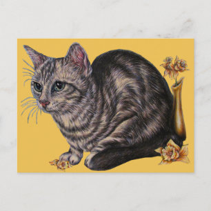 Drawing of Cat with Daffodils on Postcard