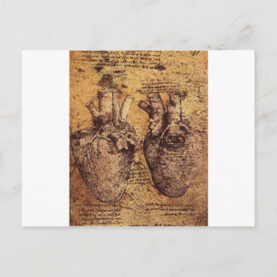 Drawing of the heart and its blood vessels postcard