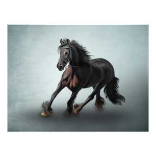 Drawing portrait horse photo print