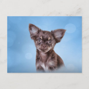 Drawing Puppy Chihuahua Postcard