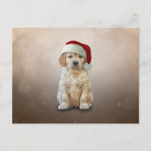 Drawing puppy Golden Retriever in red hat of Santa Postcard