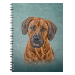 Drawing Rhodesian Ridgeback Notebook