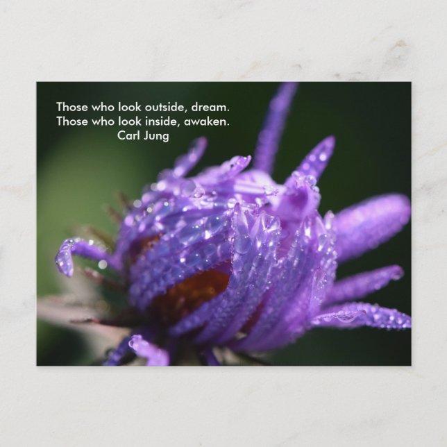 Dream and Awaken Postcard (Front)