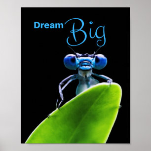 Dream Big Dragonfly Motivational Matt Poster