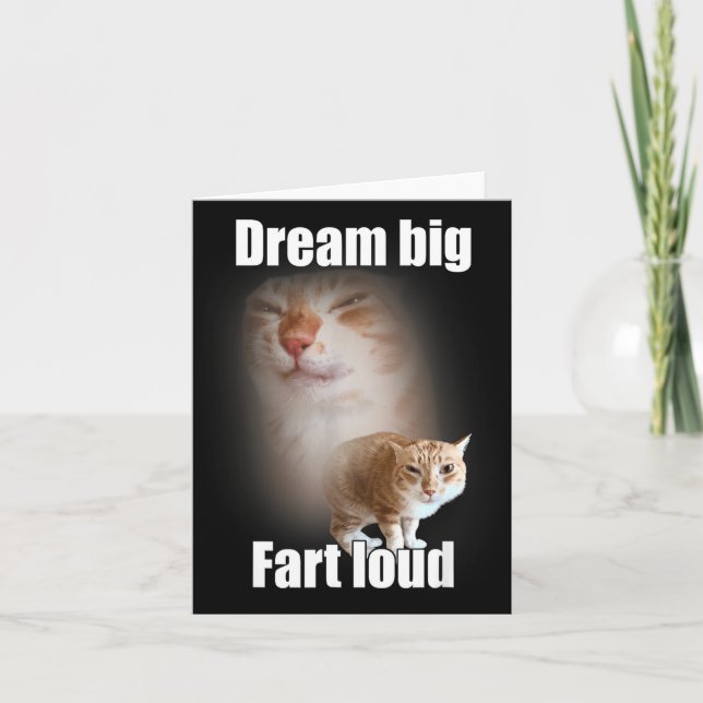 Dream Big Fart Loud Cat Meme Funny Saying  Card (Front)