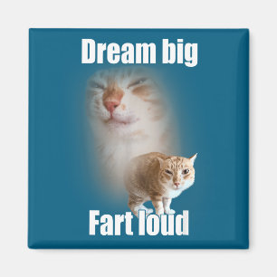 Dream Big Fart Loud Cat Meme Funny Saying  Magnet
