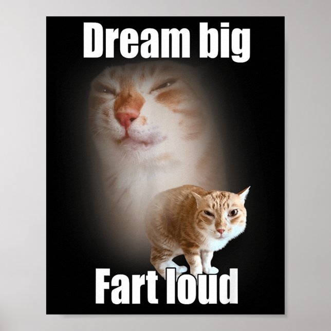 Dream Big Fart Loud Cat Meme Funny Saying  Poster (Front)