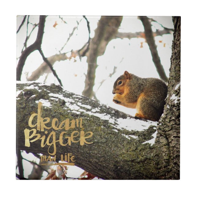 Dream Bigger than Life Squirrel Ceramic Tile (Front)