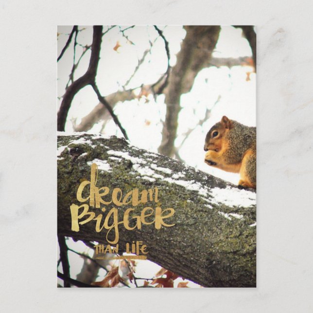 Dream Bigger than Life Squirrel Postcard (Front)