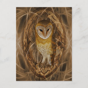 Dream catcher owl postcard