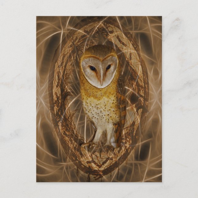 Dream catcher owl postcard (Front)