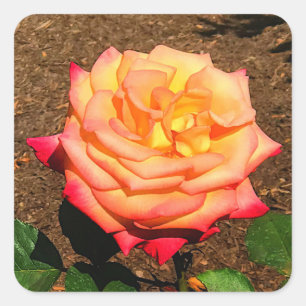 Dream Come True Rose #2 Stickers