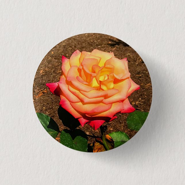 Dream Come True Rose #3 Button (Front)