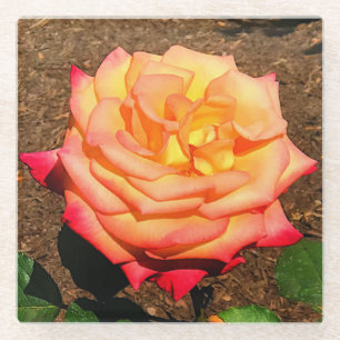Dream Come True Rose #3 Glass Coaster