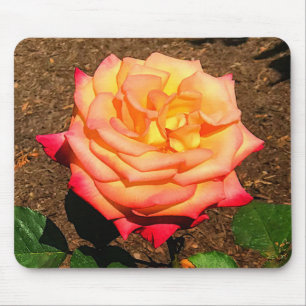 Dream Come True Rose #3 Mouse Pad