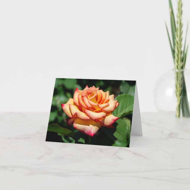 Dream Come True Rose Card (Front)