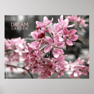 Dream Garden Poster