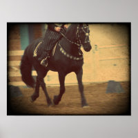 Dream Horse Friesian Dressage