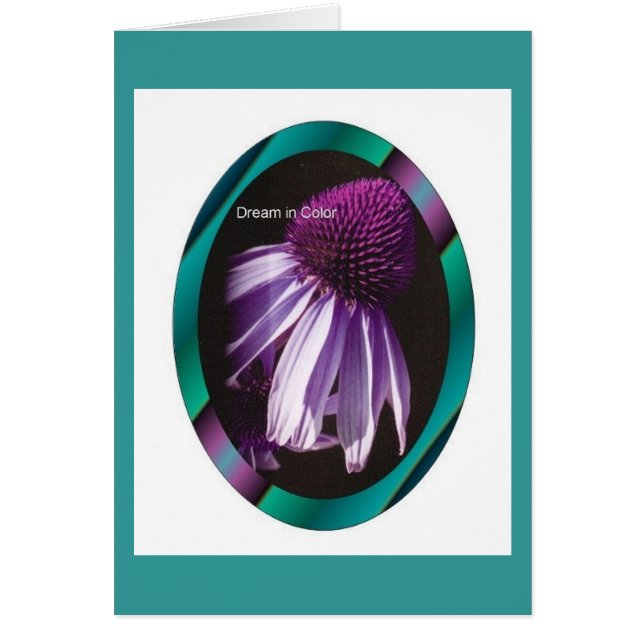 Dream in Colour (Front)