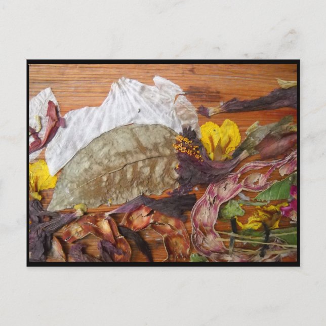 Dream-Landscape Postcard (Front)