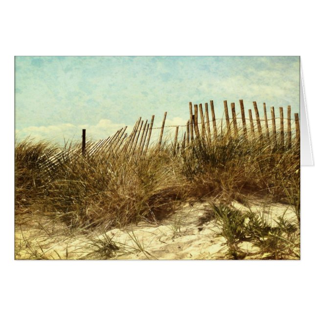 Dream of the Beach (Front Horizontal)