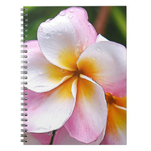 Dream Palette: Franjipani flower Notebook