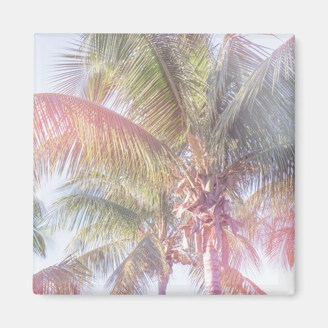 Dream Palm Tree Magnet (Front)
