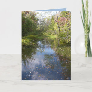 Dream Pond Card