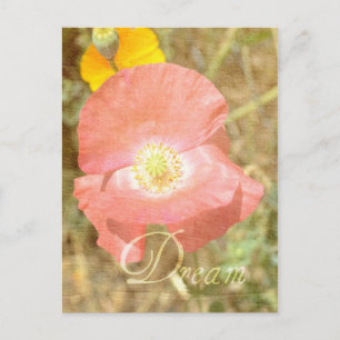 Dream Poppy Floral Postcard