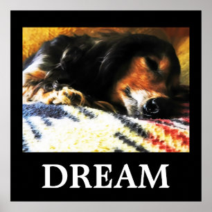 Dream Poster