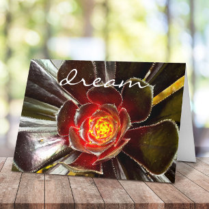 “Dream” quote orange and black cactus blank inside Card