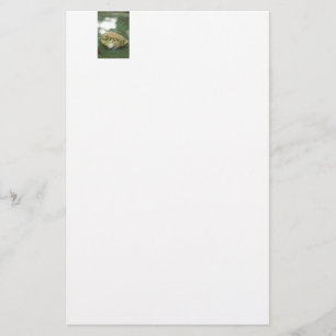 Dream Rock Stationery