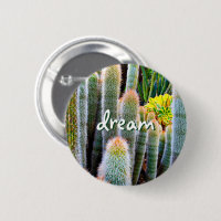 Dream Script Fuzzy Green Cacti Succulent Photo