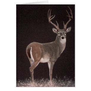 Dream Stag