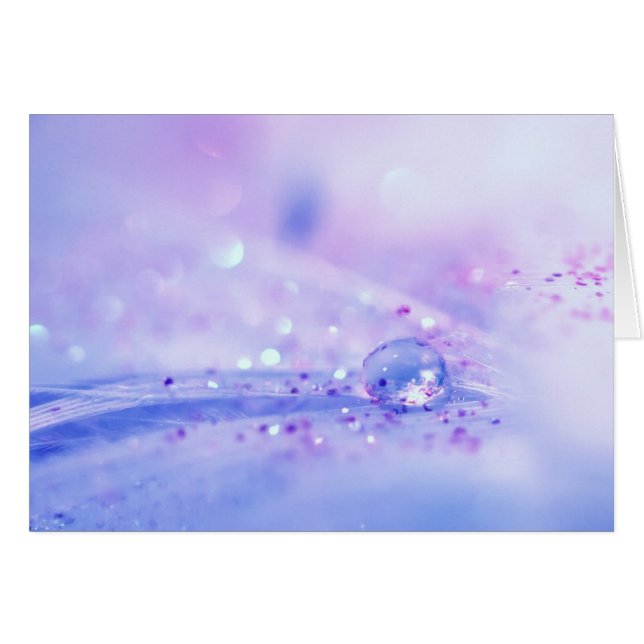 Dream TIme (Front Horizontal)