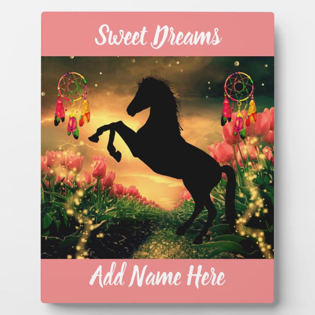 Dreamcatcher Plaque (Front)