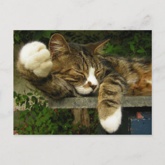 Dreaming about being interesting postcard