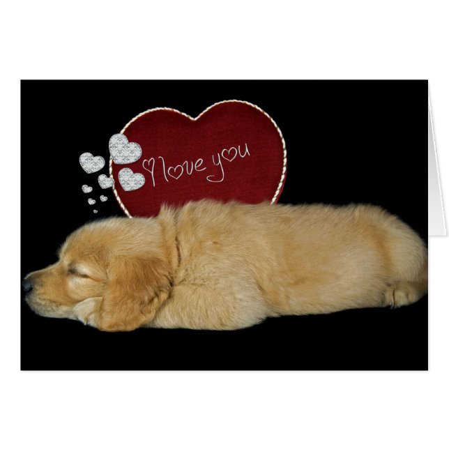 Dreaming About Love (Front Horizontal)