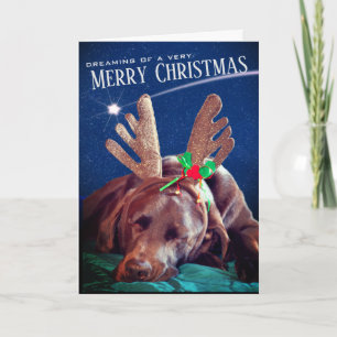 Dreaming Chocolate Lab With Antlers Photograph Holiday Card