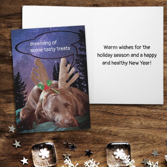 Dreaming Chocolate Lab With Antlers Photograph Holiday Card (Creator Uploaded)