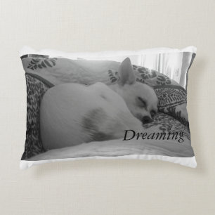 Dreaming Decorative Cushion