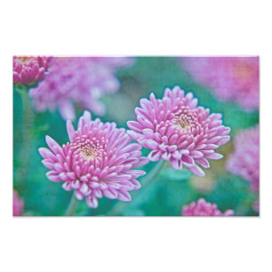 Dreaming in Mums Photo Print