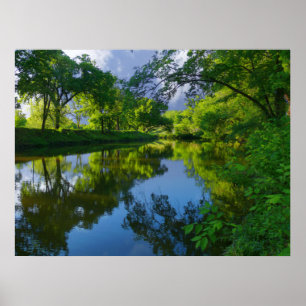 Dreaming in the Park Poster